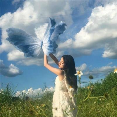 新流星蝴蝶剑